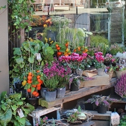 04-ninettes-blomsterbinderi